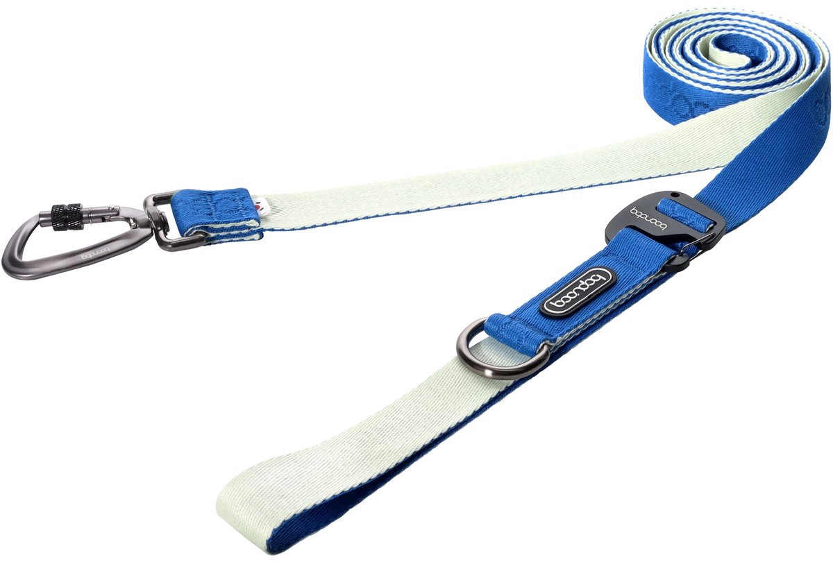Boondog Hondenriem 3.2m - Verstelbaar - Multifunctioneel - Extra Sterke Nylon Riem - Meer Bewegingsvrijheid - Karabijnhaak - Cream/Blue - Maat L