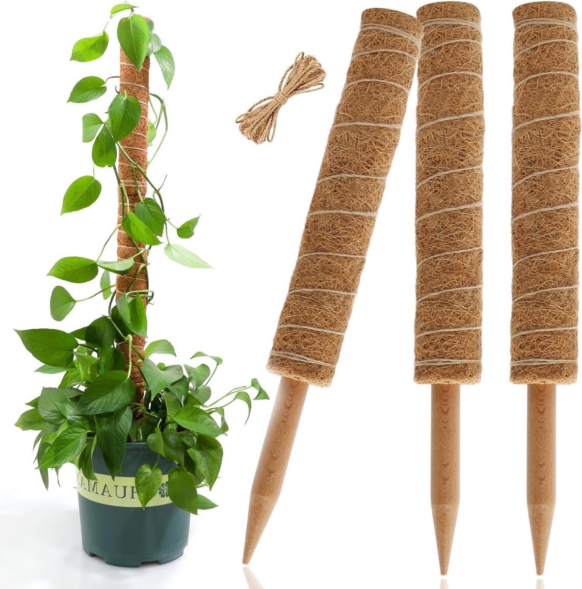 Stevige Ondersteuning voor Monstera en Klimplanten met Kokosvezel, 3 Verlengbare Palen van 40 cm