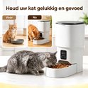 Grijze kat eet uit een witte automatische voerbak. Twee kleine afbeeldingen tonen een rode kat, eerst voor een lege kom, dan bij de voerbak.