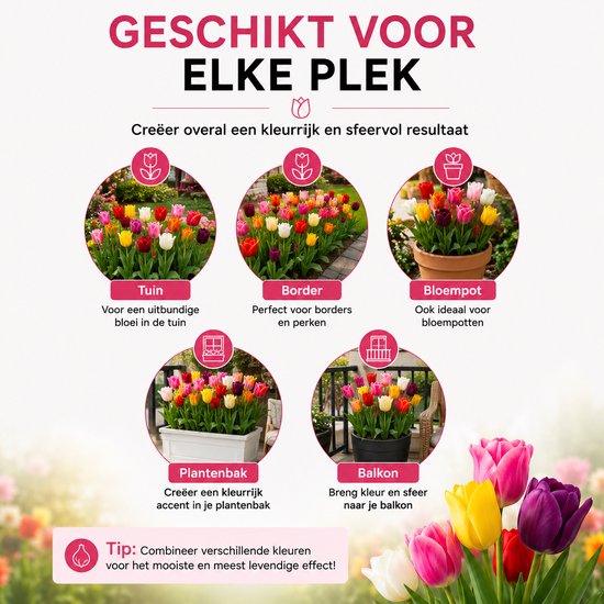 Afbeeldingen van tulpen in verschillende tuinomgevingen, waaronder een tuin, border, bloempot, plantenbak en balkon.