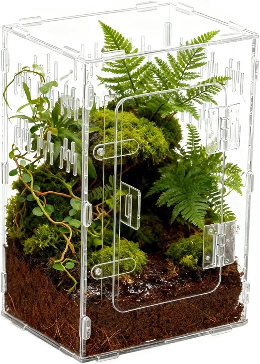 Terrarium Acryl - Verblijf Doos - Kleine Huisdieren - Geoptimaliseerde Luchtstroom - 30x20x20 cm - Transparant