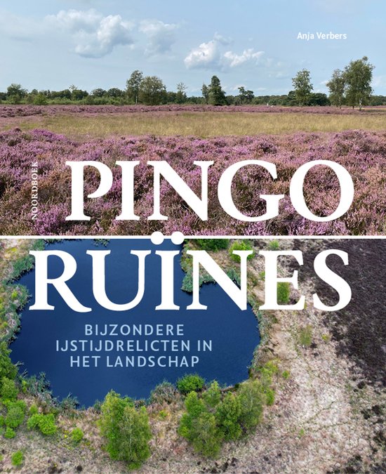 Pingoruïnes - cover
