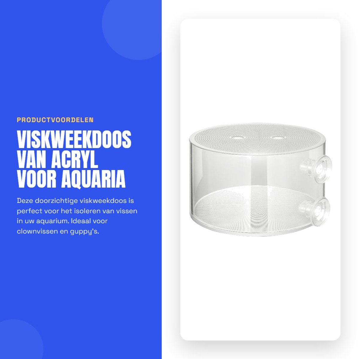 Dailygoods- Viskweekdoos doorzichtig - Kweekbak voor vissen - Visisolator van acryl - Zuignappen - Geschikt voor aquariumclownvissen/guppy's