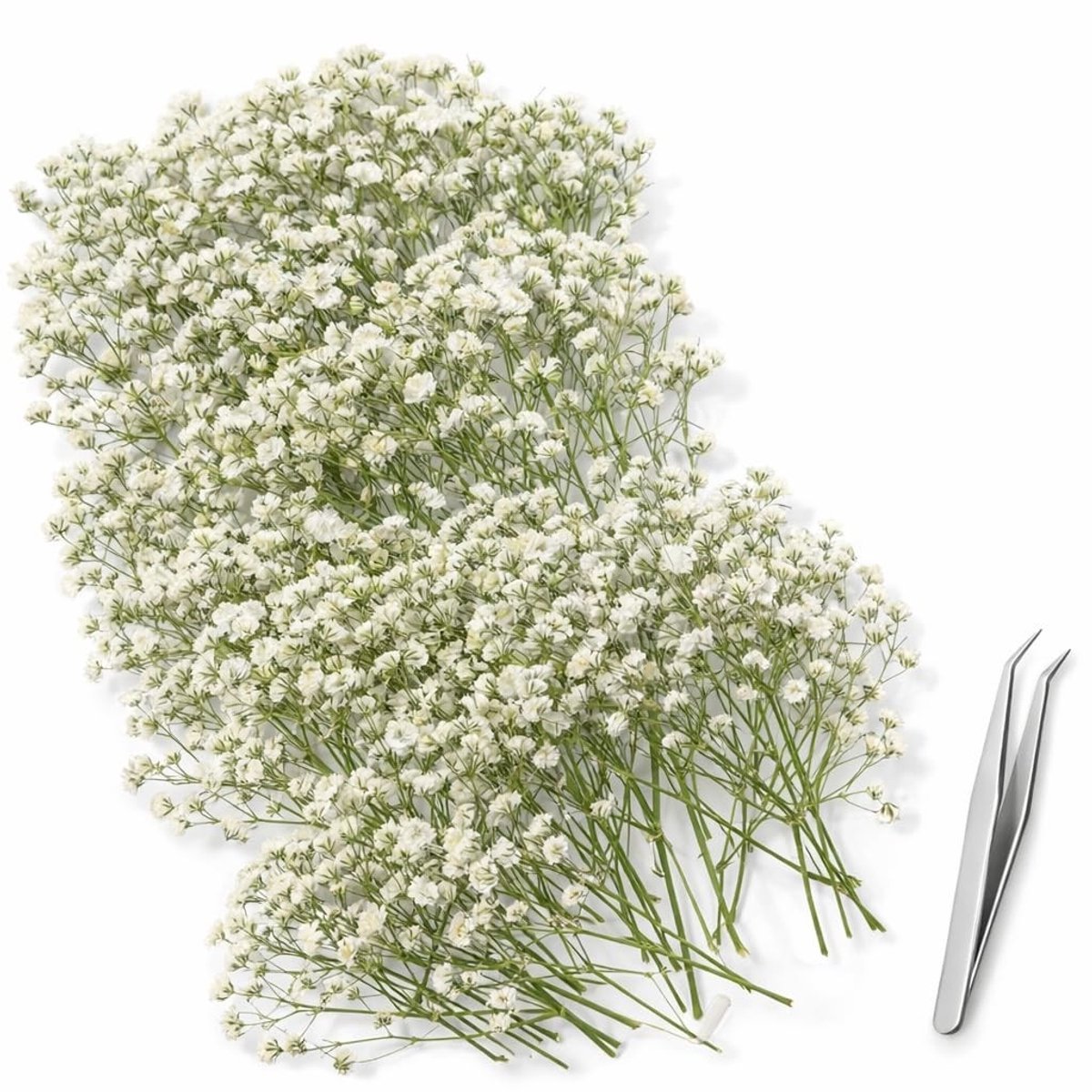 Dailygoods- Gipskruid 130 stuks - Gedroogde bloemen - Geperste bloemen - Harskunst - DIY kaarten - Bruiloft decoratie
