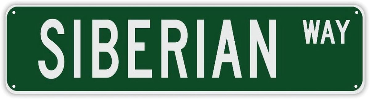 Gepersonaliseerd Naambord - Metalen Decoratie - Huis Decoratie - Aanpasbaar Ontwerp - 24x6 Inch - Stijl-1