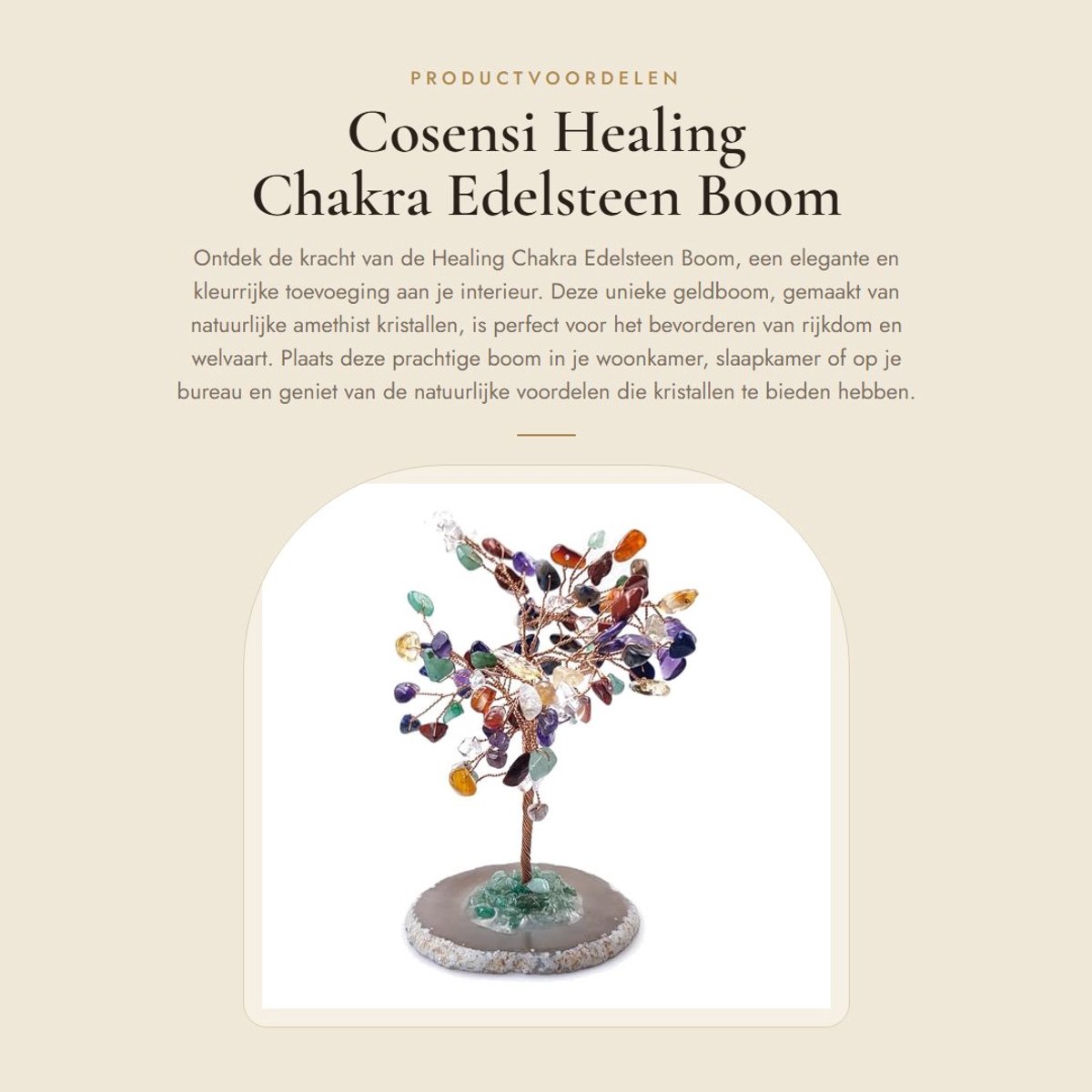 Dailygoods- Edelsteenboom Elegante Amethist - Feng Shui - Chakra Healing - Geluk - Welvaart - Natuurlijke Kristalstenen - Geldbom