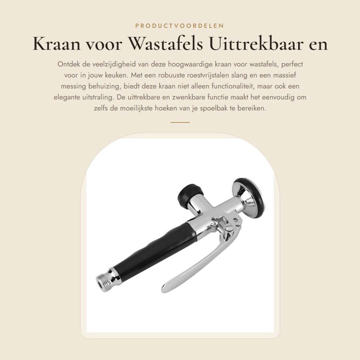 Dailygoods- Keukenkraan Uittrekbaar - Roestvrij Staal - Zwenkbaar - Sproeikop - Massief Me