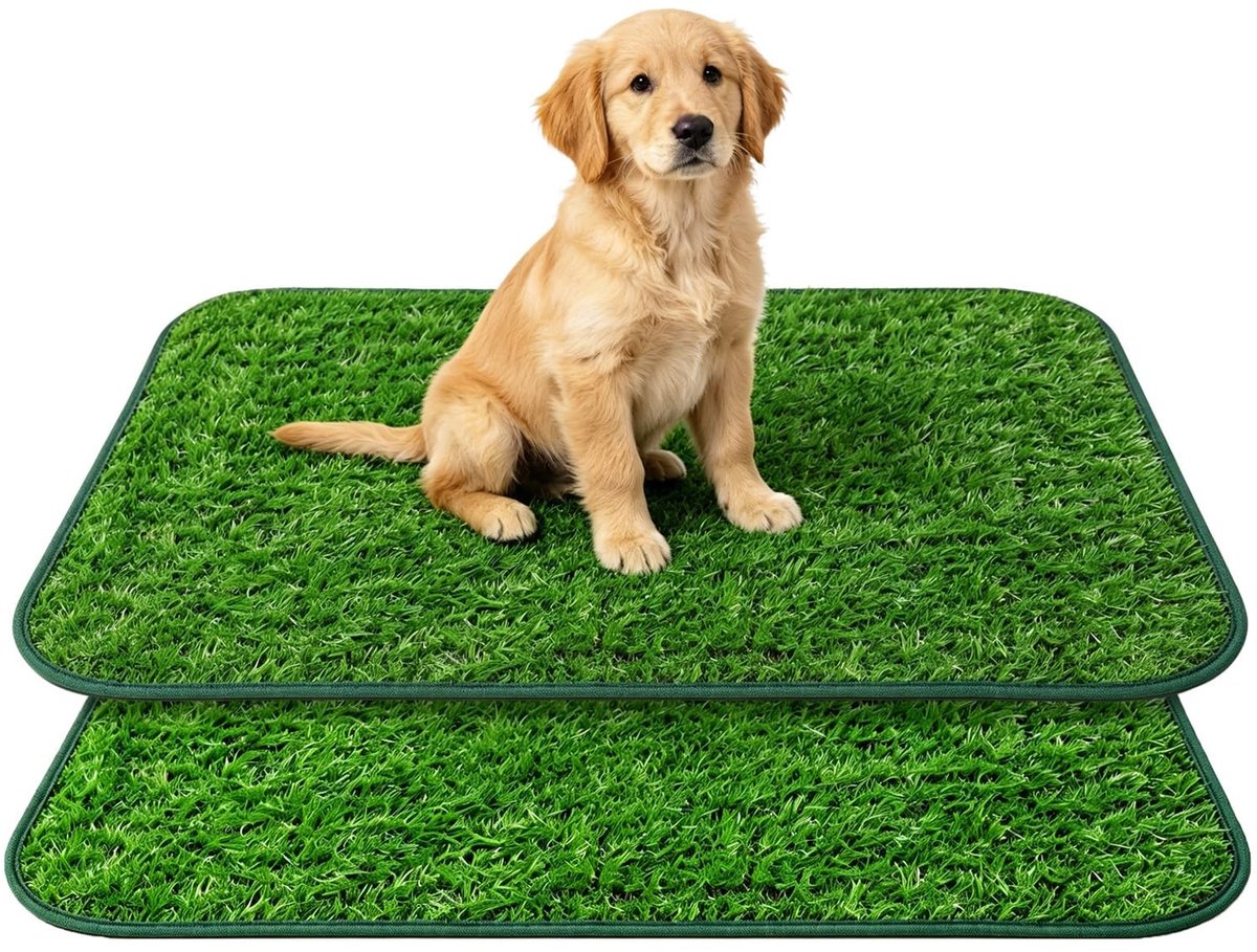 Dailygoods - Kunstgras hondentoilet, balkon, 2 stuks, gazonvervanging, puppyregenmat, herbruikbare trainingsmat voor kleine, grote en oudere honden