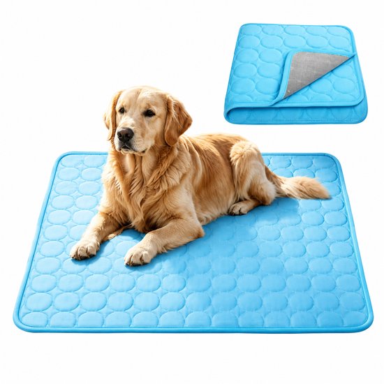 Tapis rafraîchissant bleu clair matelassé à motif circulaire. Un Golden Retriever est allongé dessus.