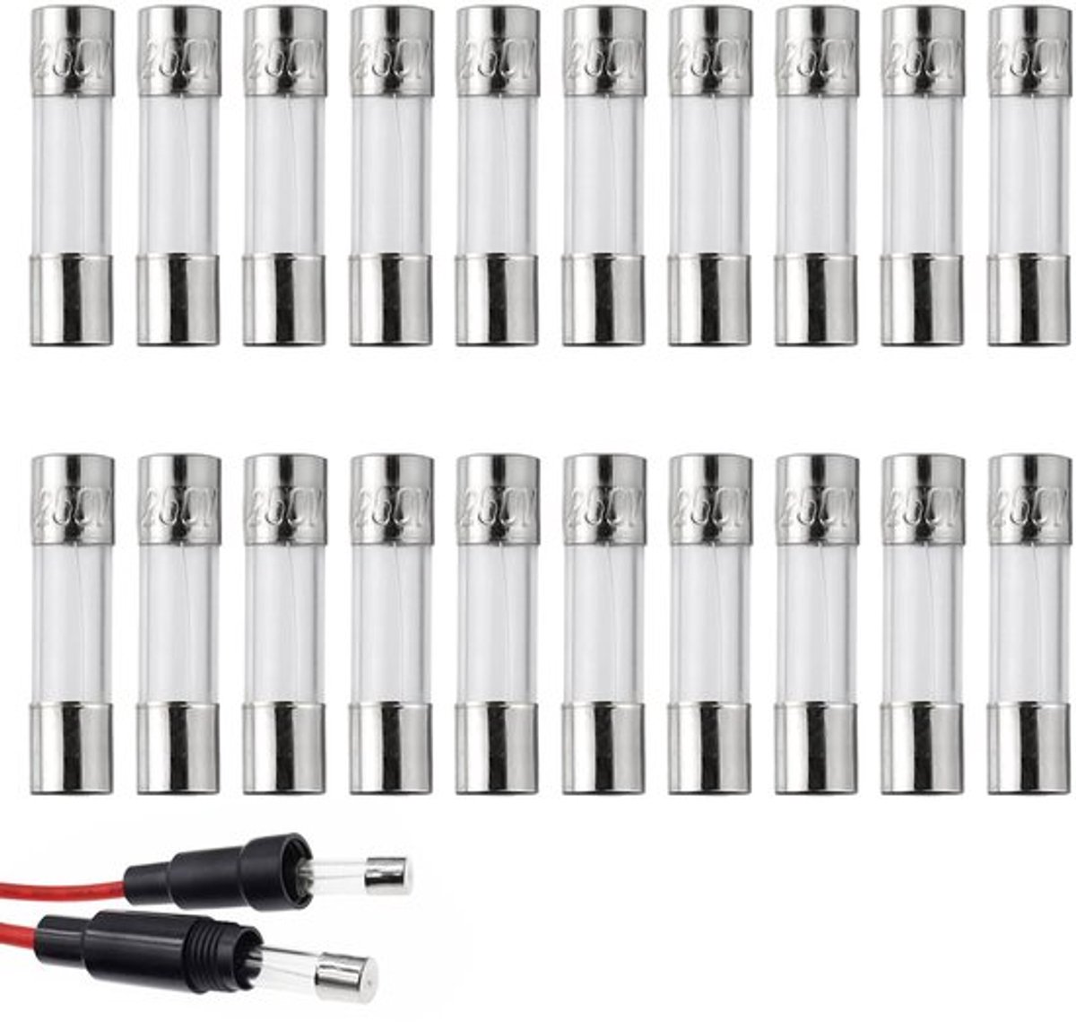NTHProducts - Glasbuizen zekeringen - F10al250v - Voor