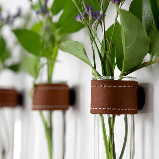 Close-up van glazen reageerbuisjes met planten en bruine leren bandjes, bevestigd aan een muur met magnetische ophanging.