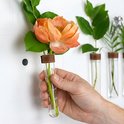 Een hand houdt een glazen reageerbuis met een oranje bloem en groene bladeren vast, bevestigd aan een muur met een magnetisch ophangsysteem.