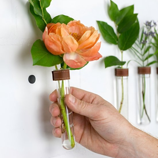 Een hand houdt een glazen reageerbuis met een oranje bloem en groene bladeren vast, bevestigd aan een muur met een magnetisch ophangsysteem.