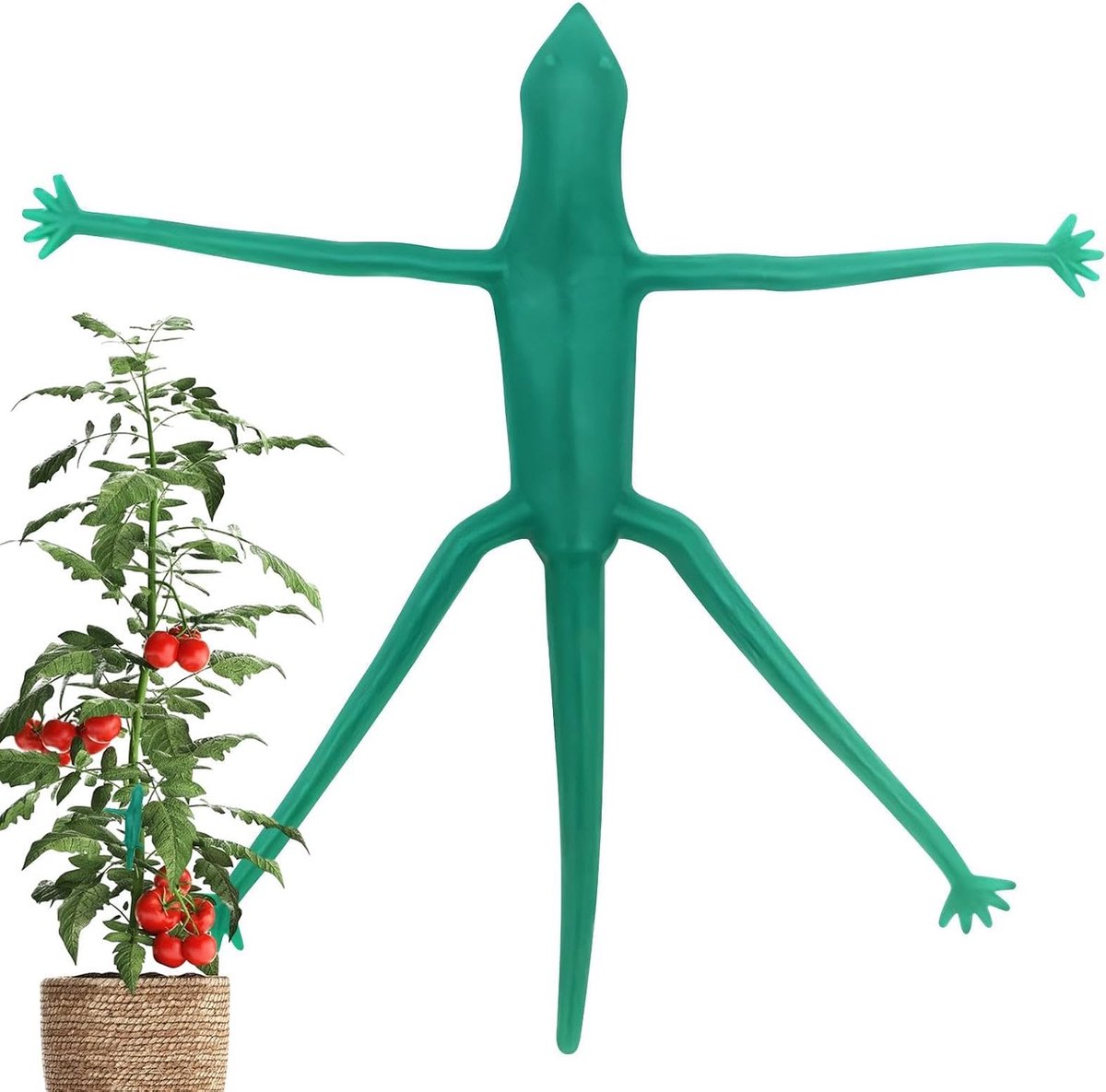 Plantenklemmen - Stengelhouders - Planten Steunen - Dierlijke Decoratie - 14 cm - Hagedis