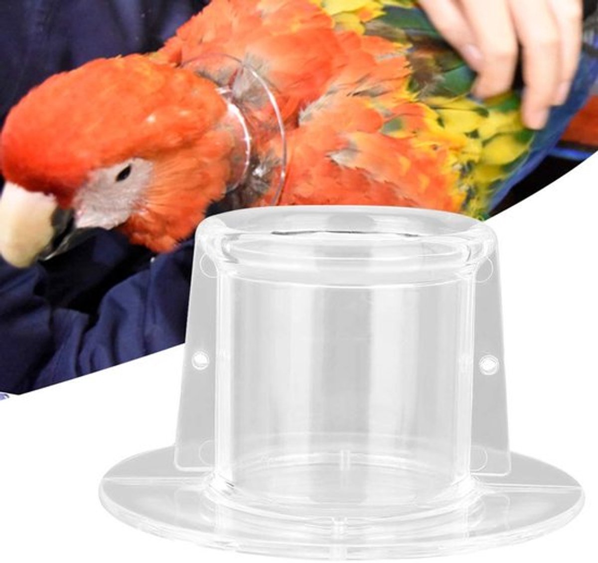 Anti-wondkrantje voor papegaaien, geschikt voor dailygoody