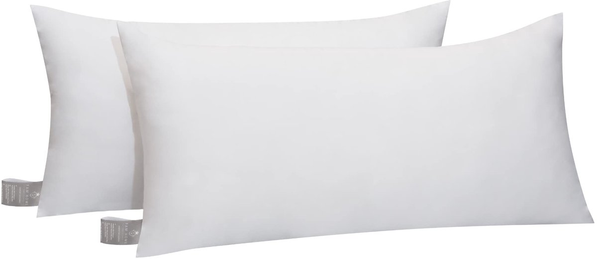 Omgoods - Zacht Microvezel Hoofdkussen - Set van 2 - 40x70cm - Hypoallergeen