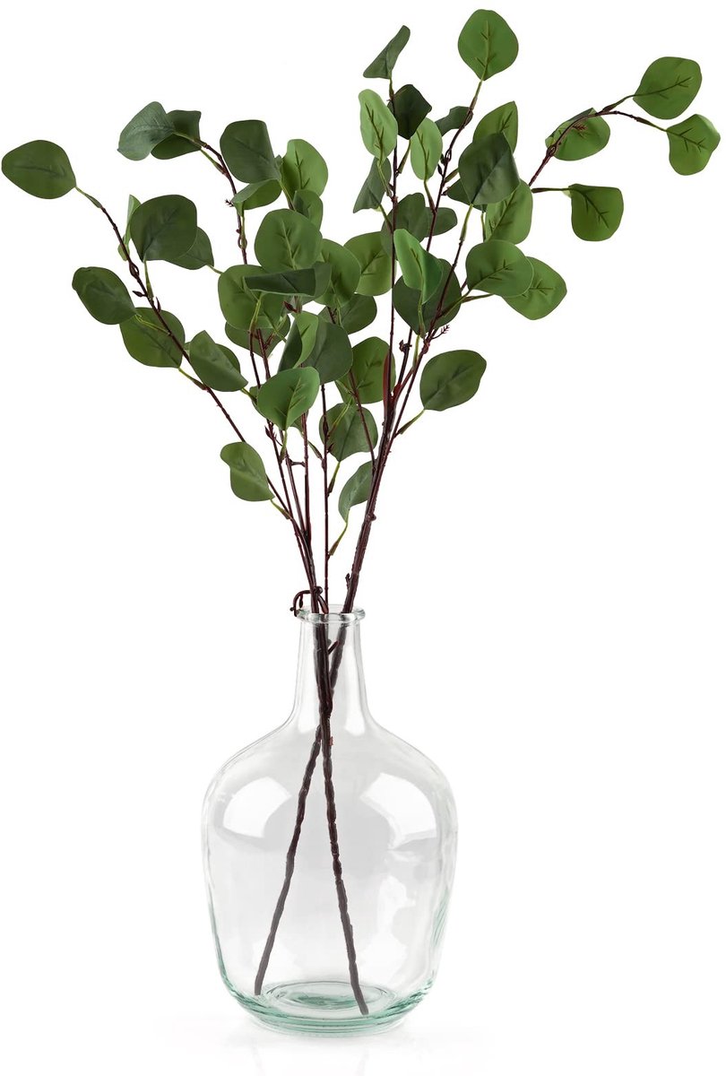 Omgoods - Heldere Glazen Vaas voor Takken en Bloemen