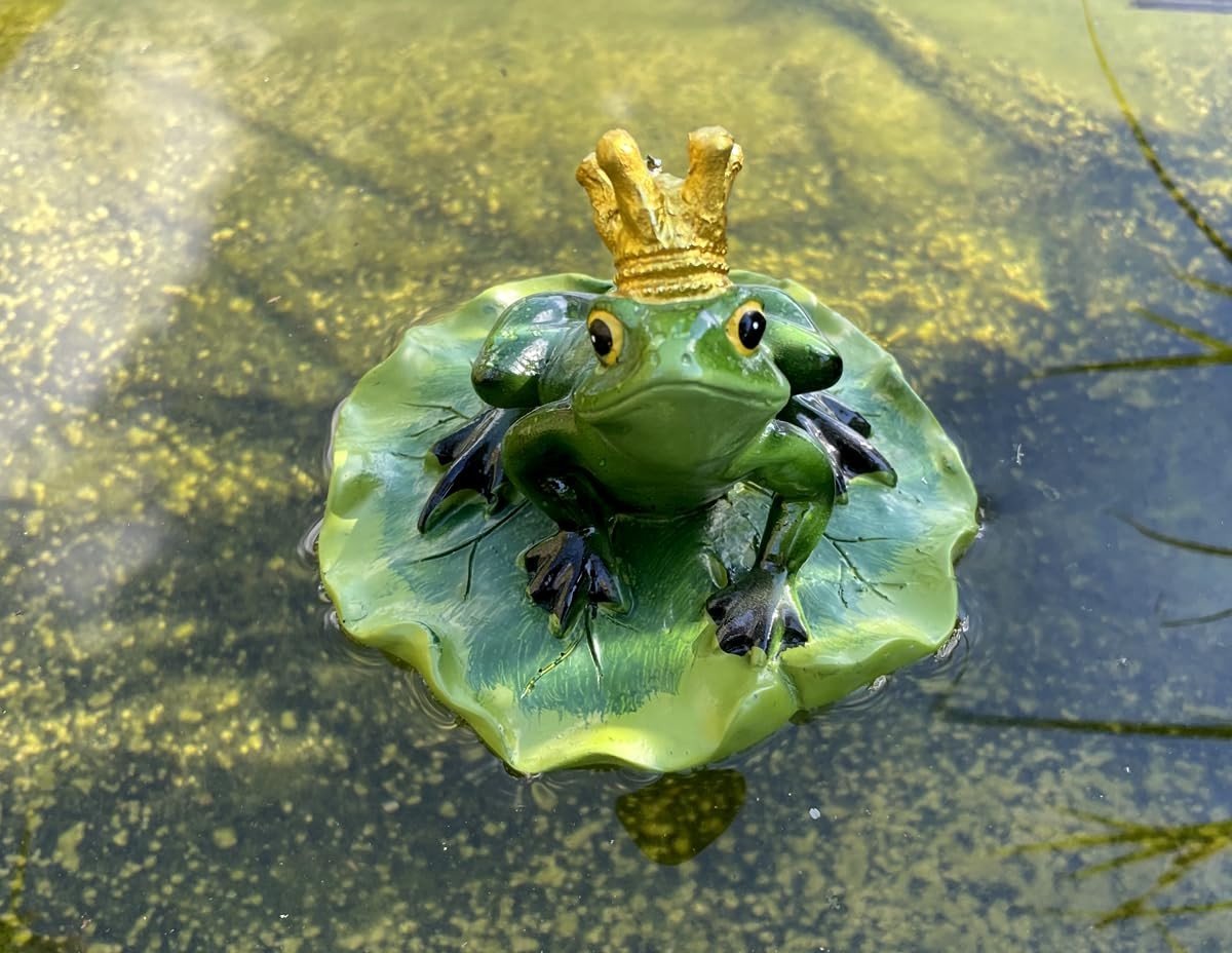 Omgoods - Mini Vijverdecoratie van een Frog King voor Tuin en Vijver