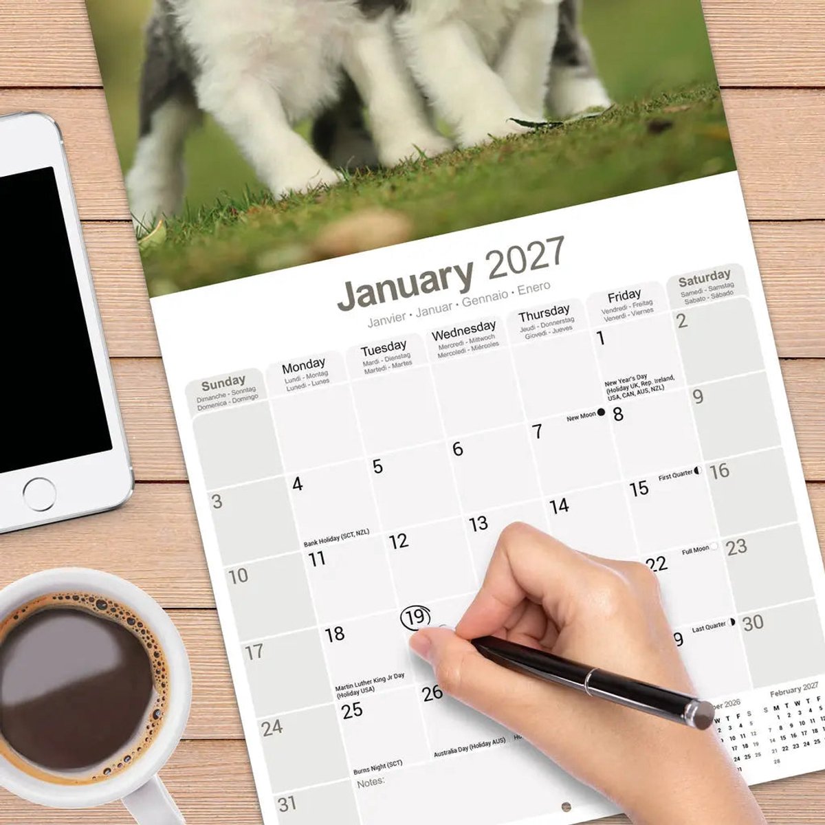 Bearded Collie Kalender 2027