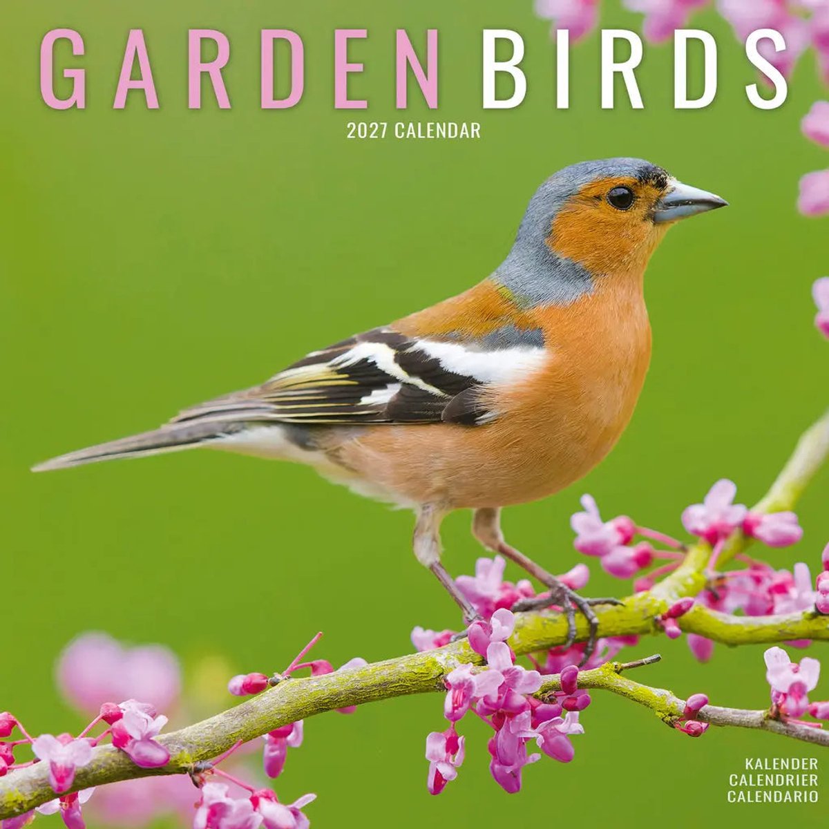 Garden Birds Kalender 2027