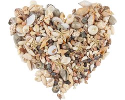 250g Mixed Shells Decoration 10 Starfish Natural Small Shells for Crafts Undrilled Shell Decoration for Vase Fountain - ShopVlot