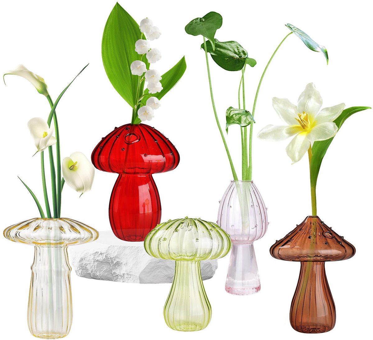 Omgoods - Set van 5 Paddenstoelvormige Glazen Vazen voor Hydroponische Planten
