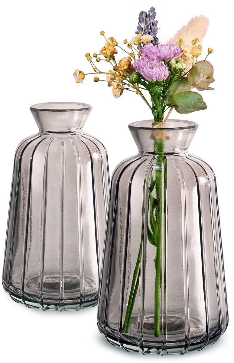 Omgoods - Set van 6 Mini Glazen Vazen Vintage Stijl