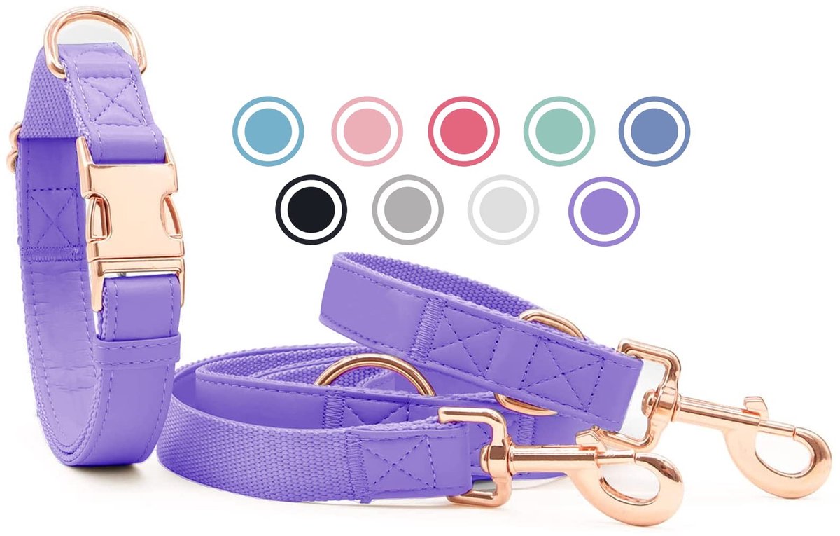 Omgoods - Elegante Hondenhalsband en Lijn Set (2m)