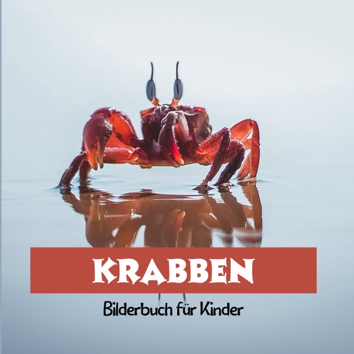 Bilderbuch für Kinder