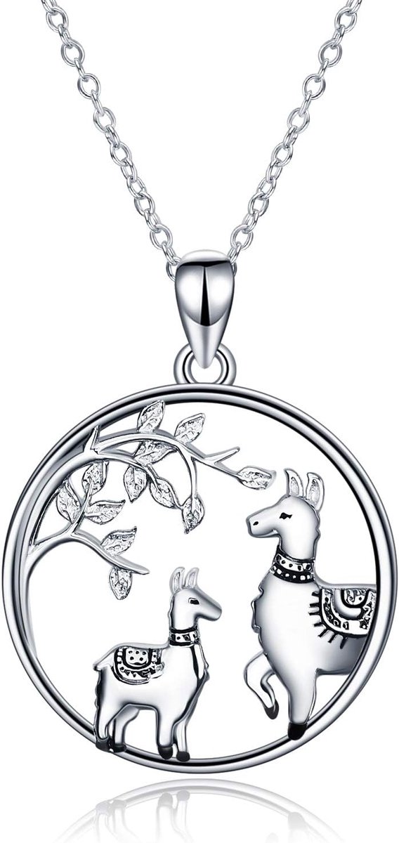DAMES 925 Sterling Silver zilver