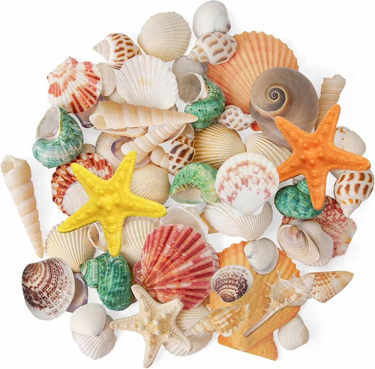 SnelShoppen - Schelpen Mix 200 g 2-8 cm Decoratieve Zee Ster Schelpen Boho Vaas Vulling Ideaal voor Strandfeesten, Bruiloftdecoraties, Aquariumdecorat