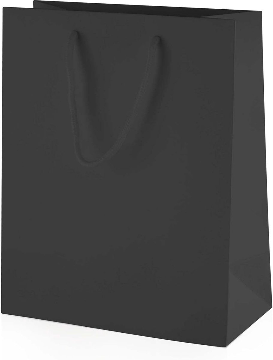 10 Zwart Luxe Papieren Cadeauzakjes met Matte Afwerking en Touw Handvatten - Middelsoort - 200x100x240mm