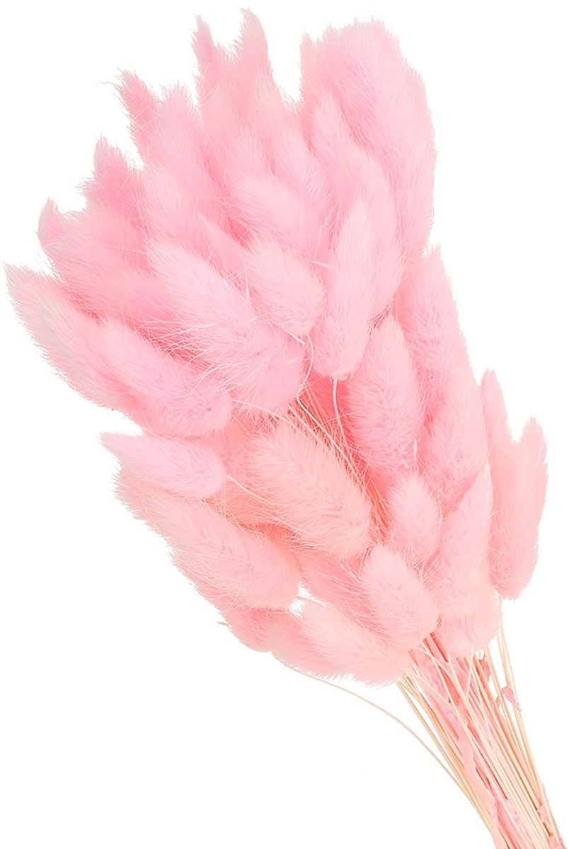 Omgoods - Droogbloemen Konijnenstaarten voor Boho Decoraties in Roze