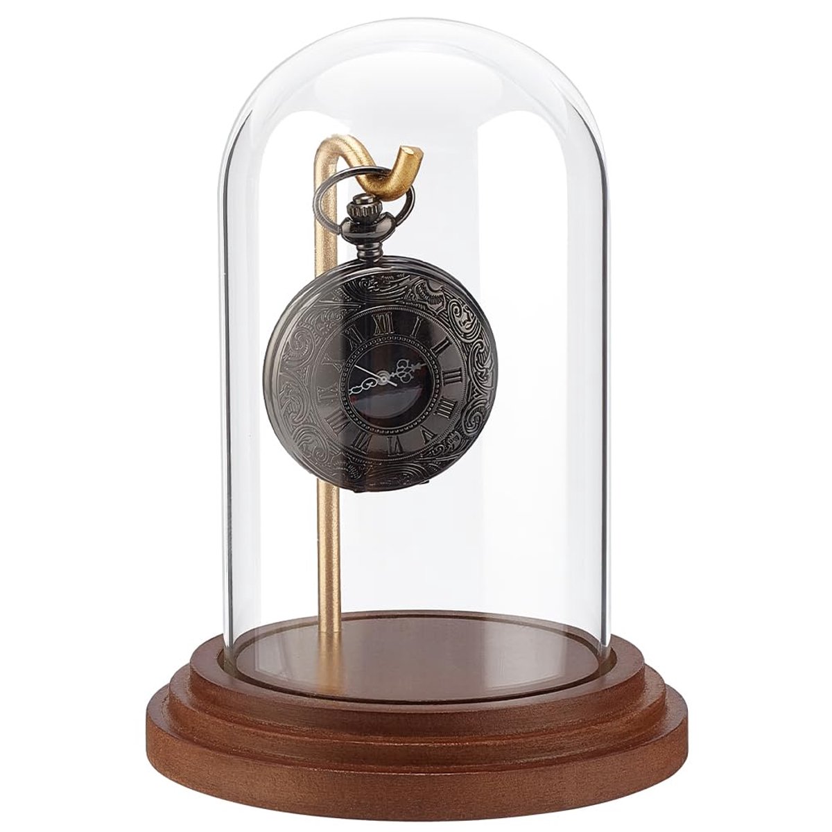 Omgoods - Glazen Display Dome voor Horloges en Collectibles