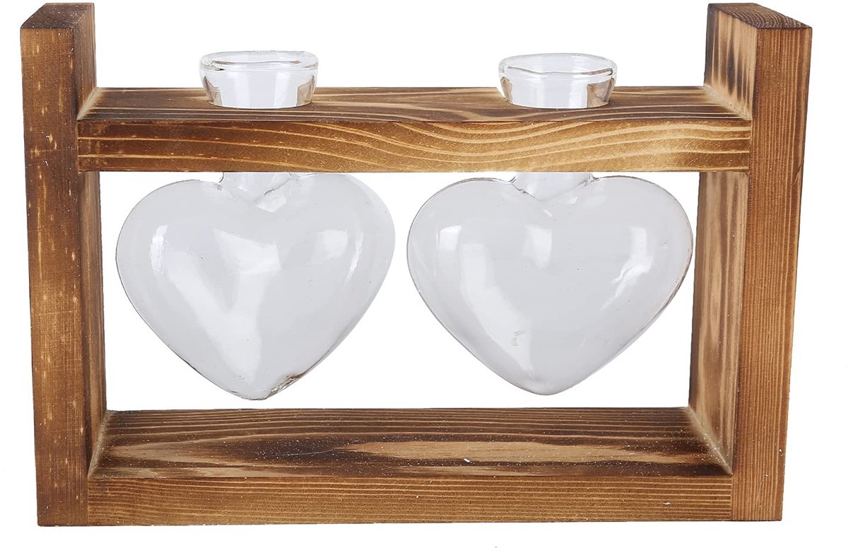 Omgoods - Vintage Glazen Vaas met Houten Frame voor Planten
