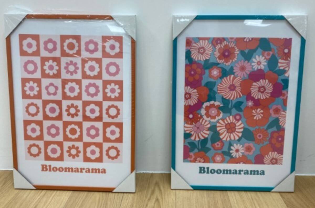 Ingelijste poster met bloemenmotief 50x70 cm CHA CHA POP