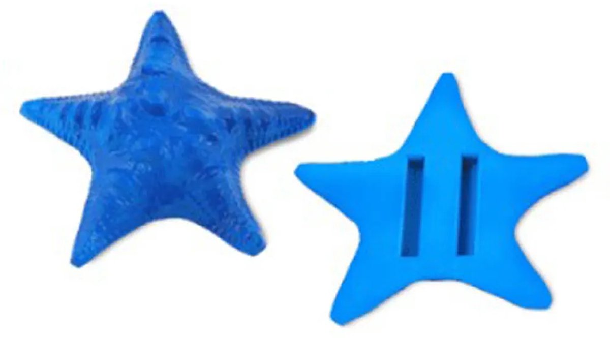 Best Divers Duiklood Zeester | Loodgewicht voor Duikgordel | 1 KG | Blue