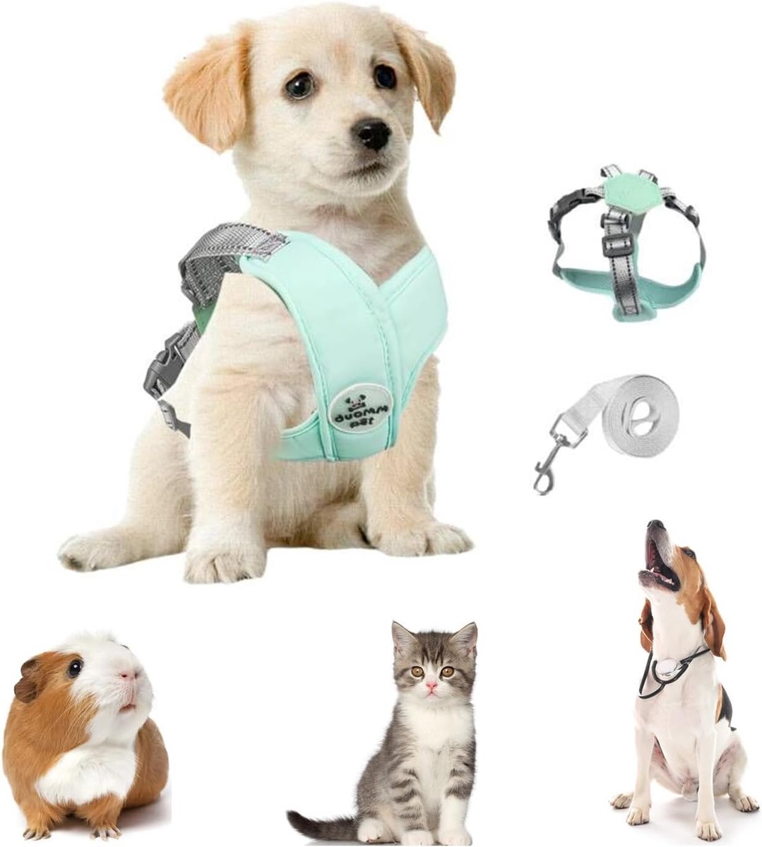 Zequech Light Green Traction Rope, for Small and Medium Dogs, Adjustable Shoulder Strap, Breathable Soft Mesh Cushion - ShopVlot