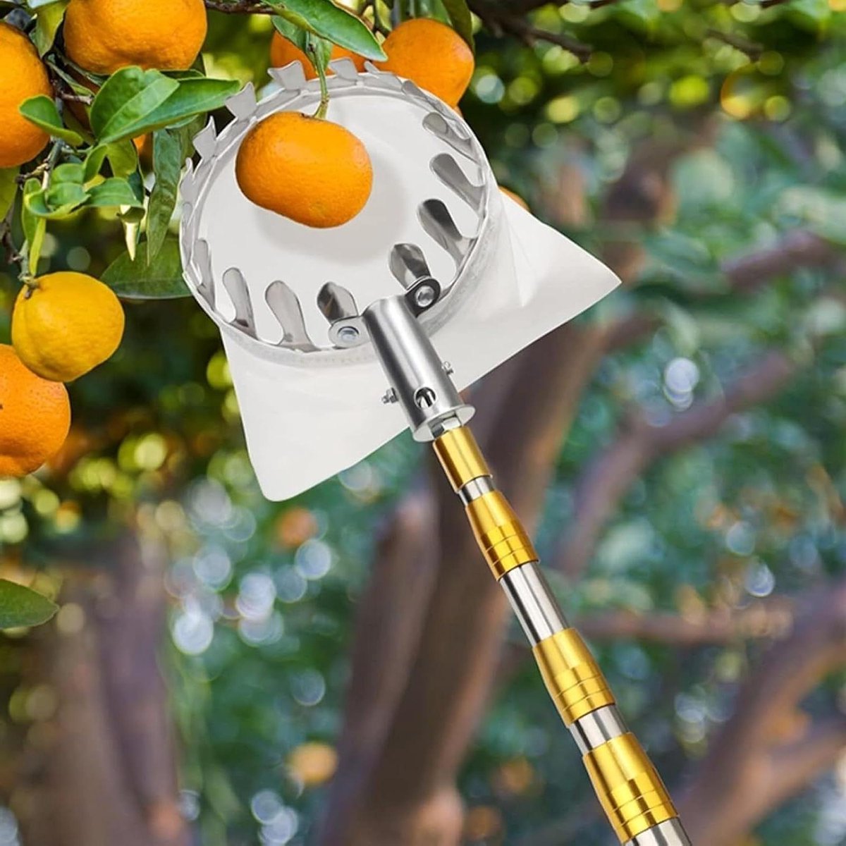 Fruitplukker - Oogsthulp - Fruit Plukken - Telescopische Stok - 2.5 meter - Geel