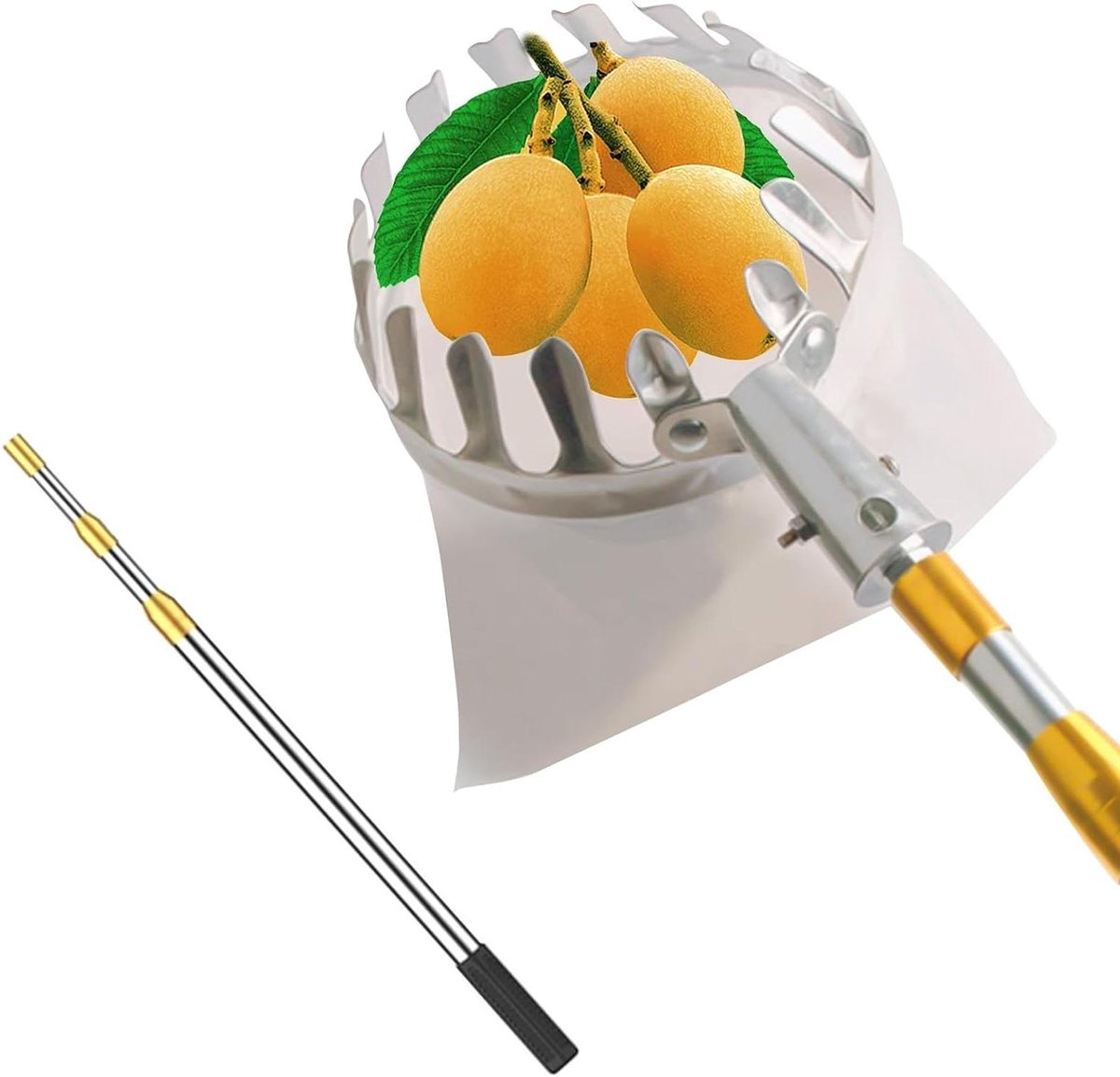 Fruitplukker Stok - Fruitvanger Mand - Fruit Oogsten - Uitschuifbaar Roestvrij Staal - 4 meter - Zilver