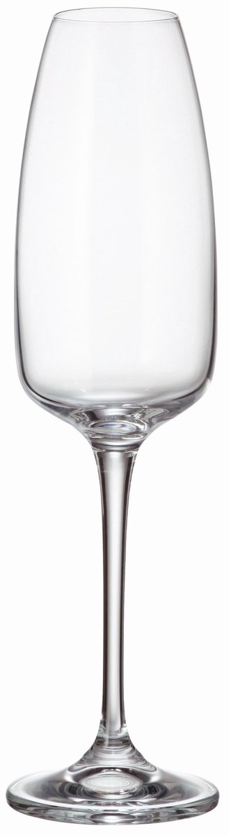 Anser champagne glas 290 ml - set van 24 stuks