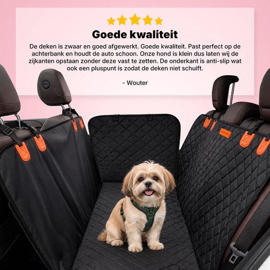 Un petit chien brun clair avec un harnais vert est assis sur une housse de voiture noire matelassée, entouré de sièges.