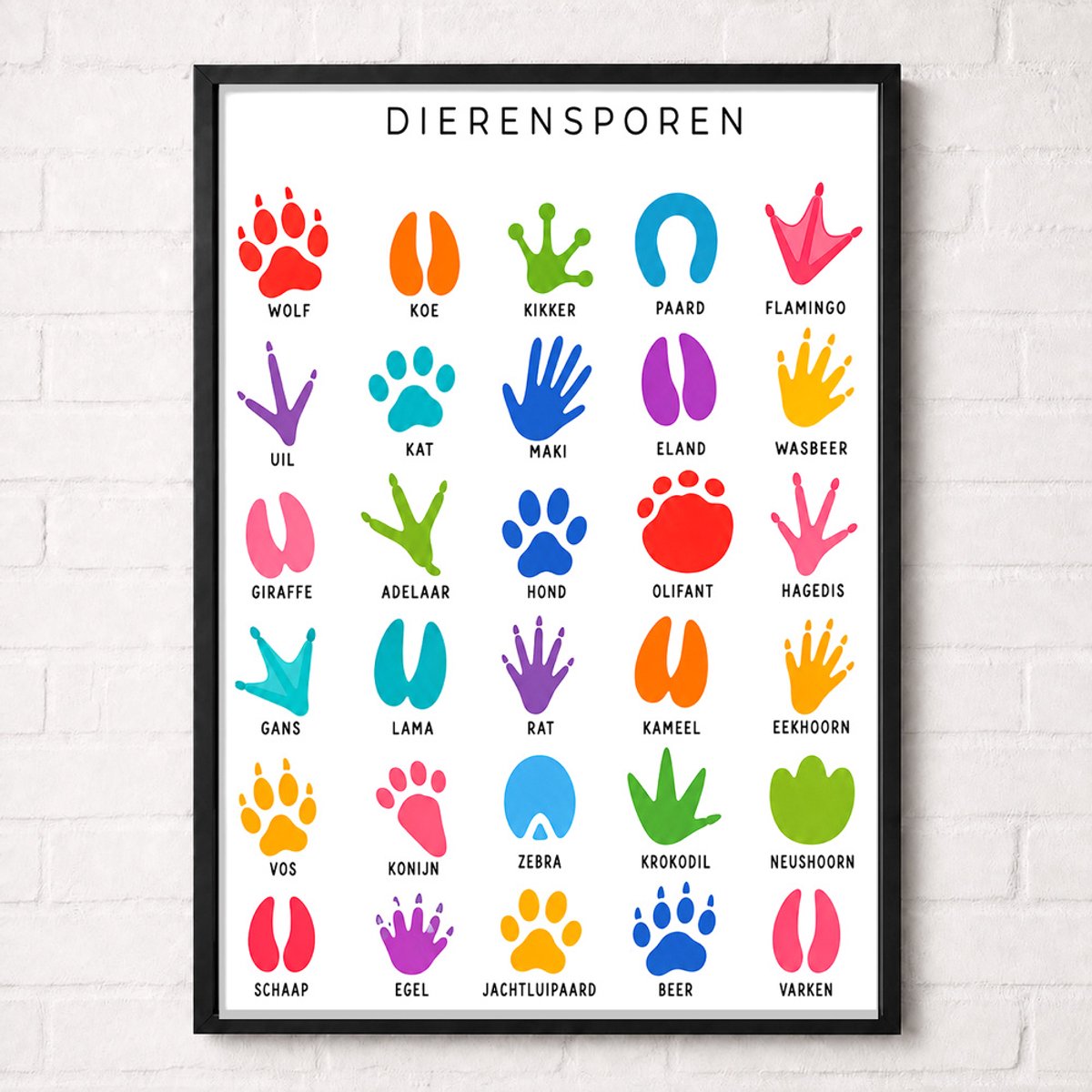 Dierensporen Educatieve Poster voor Kinderen - Leren - groep 1 t/m 5 (4-9 jaar) - A1+ 61 x 91,5 cm
