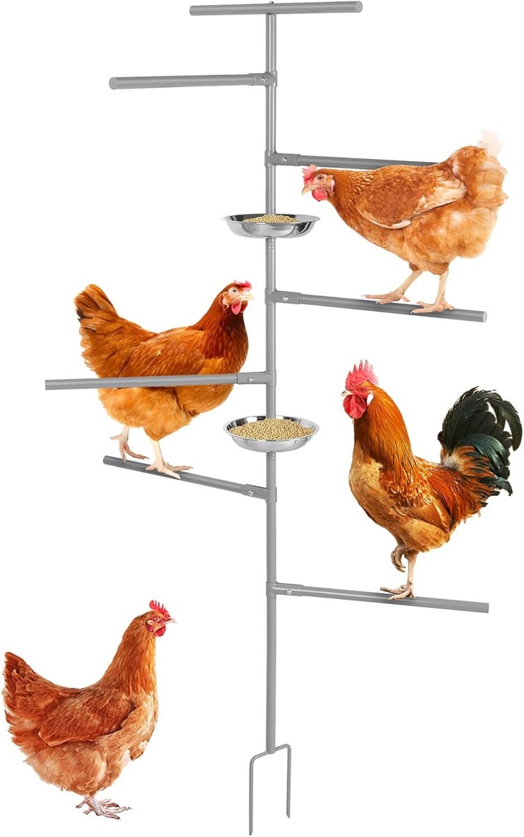 playground for chickens - ShopVlot