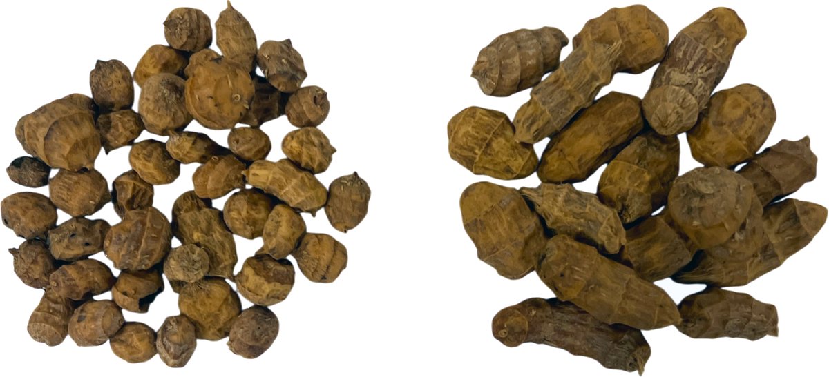 Tijgernoten XXL 25 KG