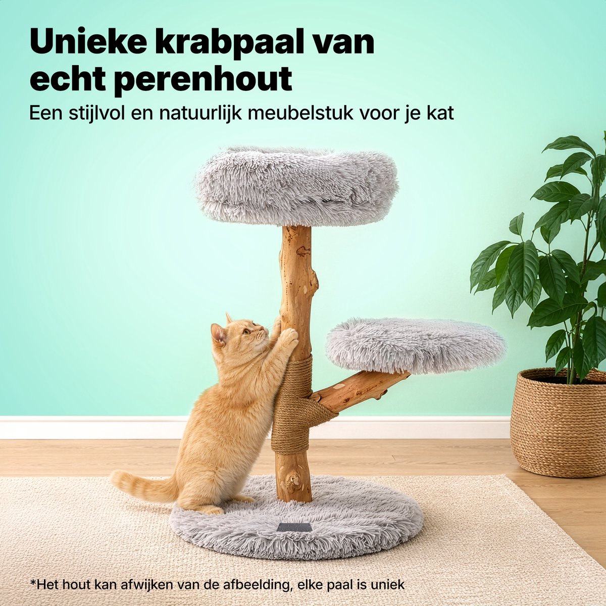 Jake Jake and Jacky Krabpaal - afbeelding 2