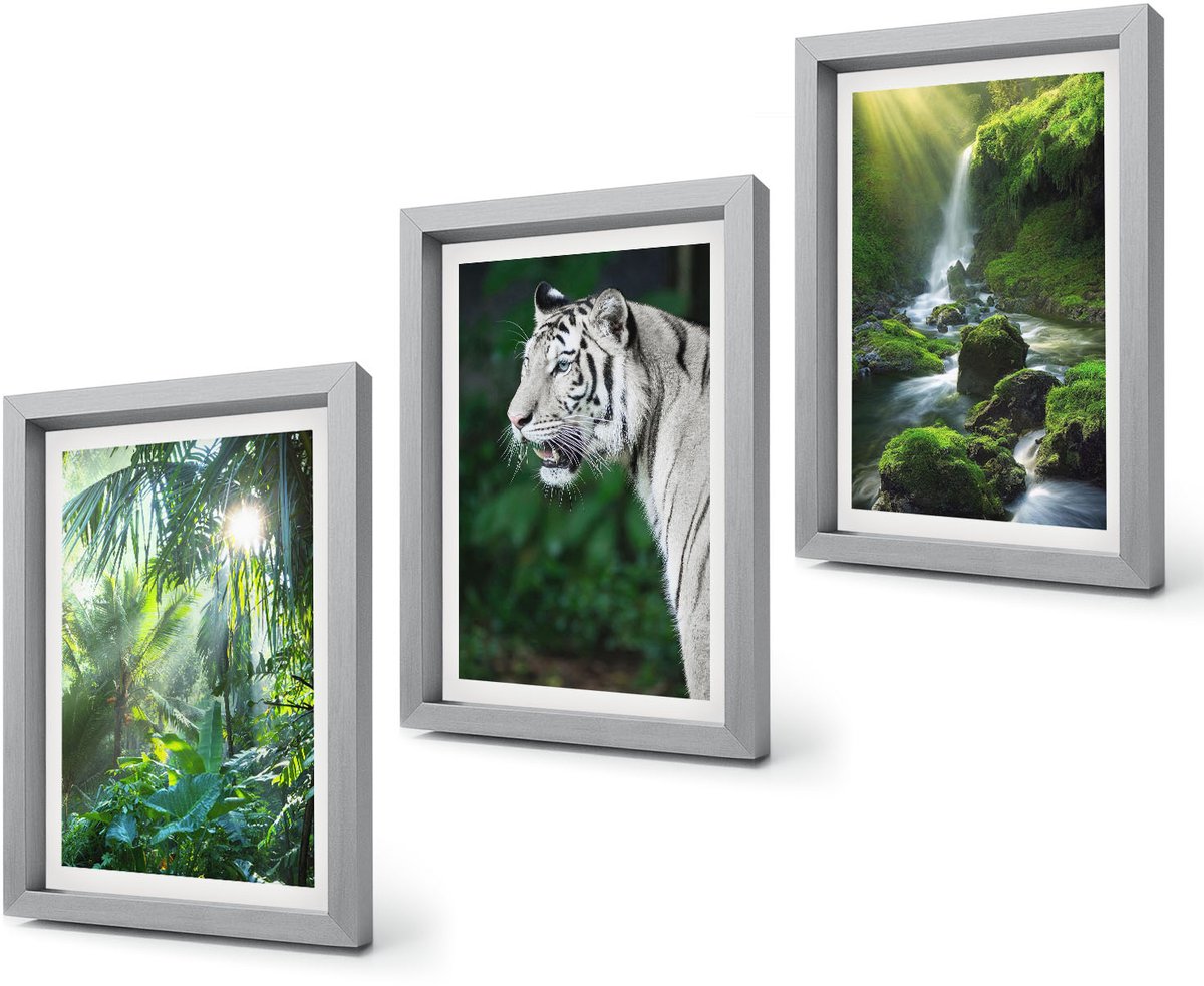 Coloray 4-Delige Schilderij Set - Jungle met een witte tijger en een wilde waterval - 20 x 30 cm - Wanddecoratie - Moderne Interieurdecoratie - Stijlvolle Muurdecoratie Zilveren lijst