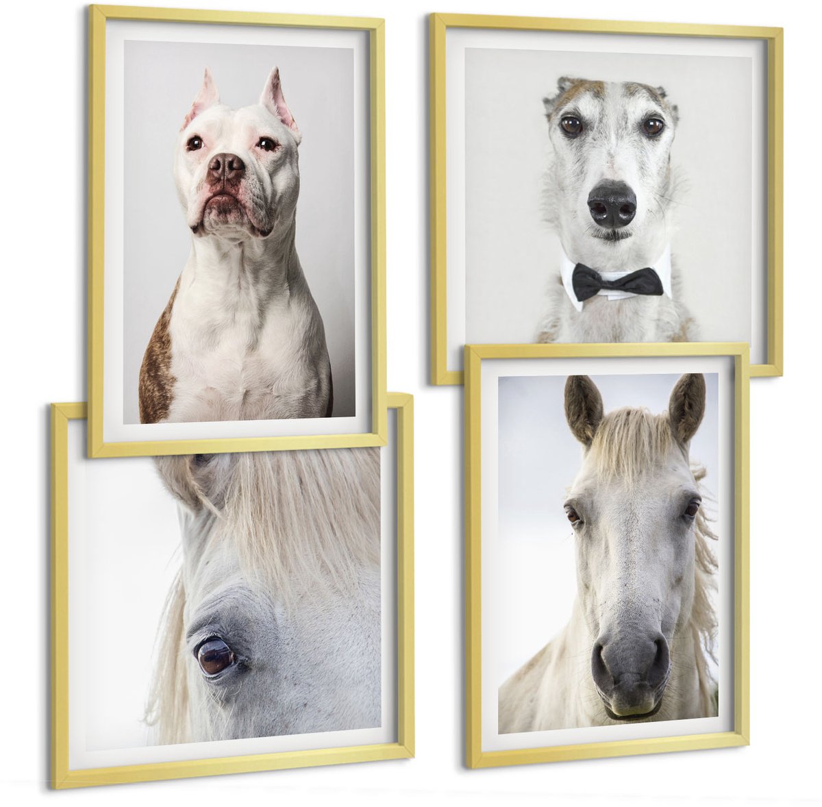TULUP 4-Delige Schilderij Set - Interessante portretten van honden en paarden in een elegante stijl. - 40 x 40 cm en 40 x 60 cm - Stijlvolle Muurdecoratie - Slaapkamer - Interieur Decoratie Gouden lijst