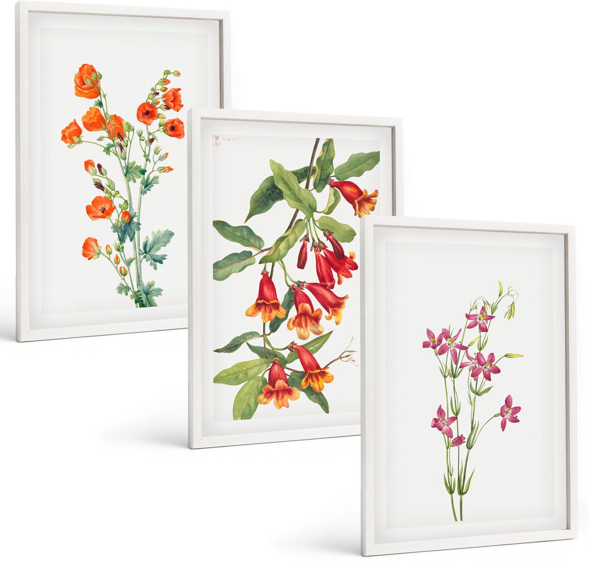 Tulup 3-Delige Schilderij Set - Vintage retro bloemenschilderij - 40x60 - Wanddecoratie - Schilderijen Set - Kantoor - Stijlvolle Muurdecoratie
