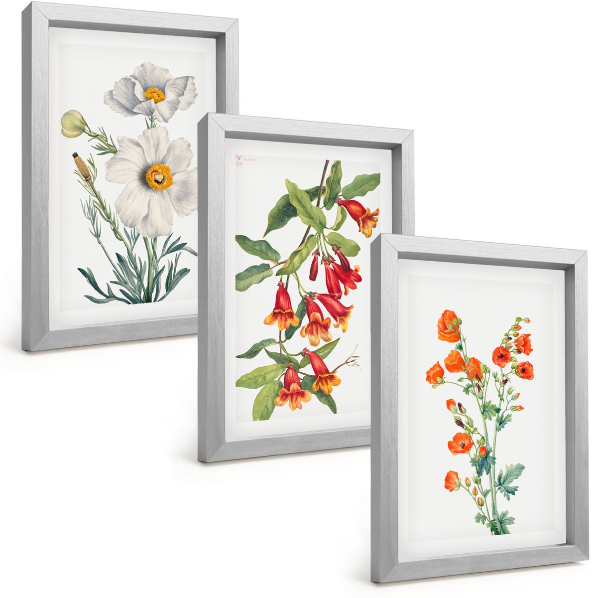 Tulup 4-Delige Schilderij Set - Bloemcomposities Retro Vintage Schilderij - 20 x 30 cm - Wanddecoratie - Schilderijen Set - Interieur - Woonkamer Decoratie